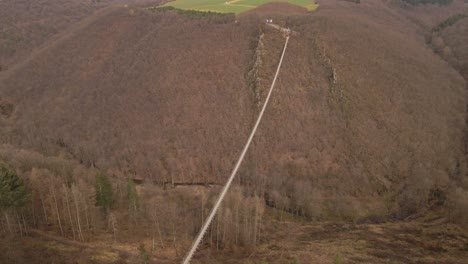 vista aérea en órbita de un largo puente colgante que cuelga sobre un bosque caducifolio sin hojas