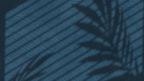 animación de hojas de palma y sombras de rayas sobre el patrón cambiante de grano de madera azul