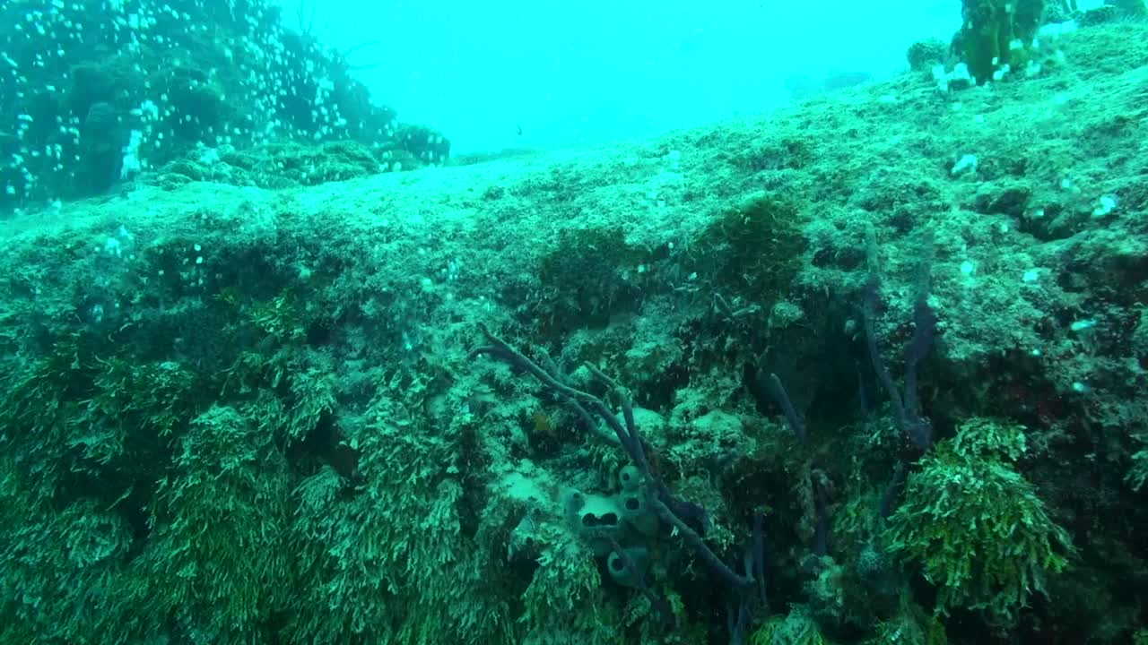 블루 홀 테두리를 통해 거품