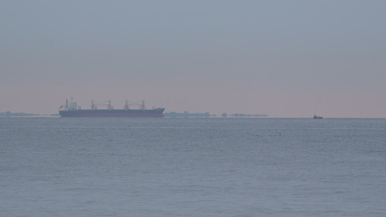 바다 에서 날아다니는 새 들 이 배경 에 떠다니는 화물 배지 와 함께