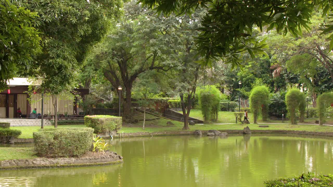 一个绿色的池塘，周围环绕着修剪整齐的树篱和热带树木，这是一幅静态广角画面。