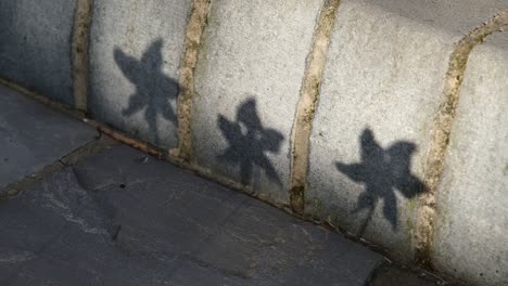 shadow of  three small pinwheels spinning very fast in bright sunshine