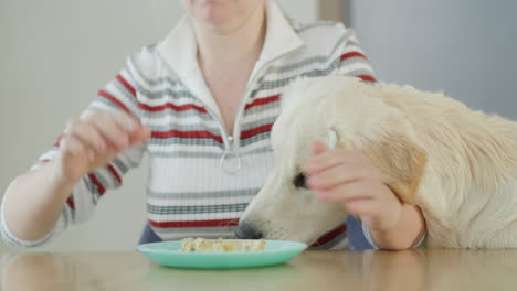 woman feeding her dog at home