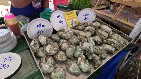 vendor arranging oysters on ice for sale.