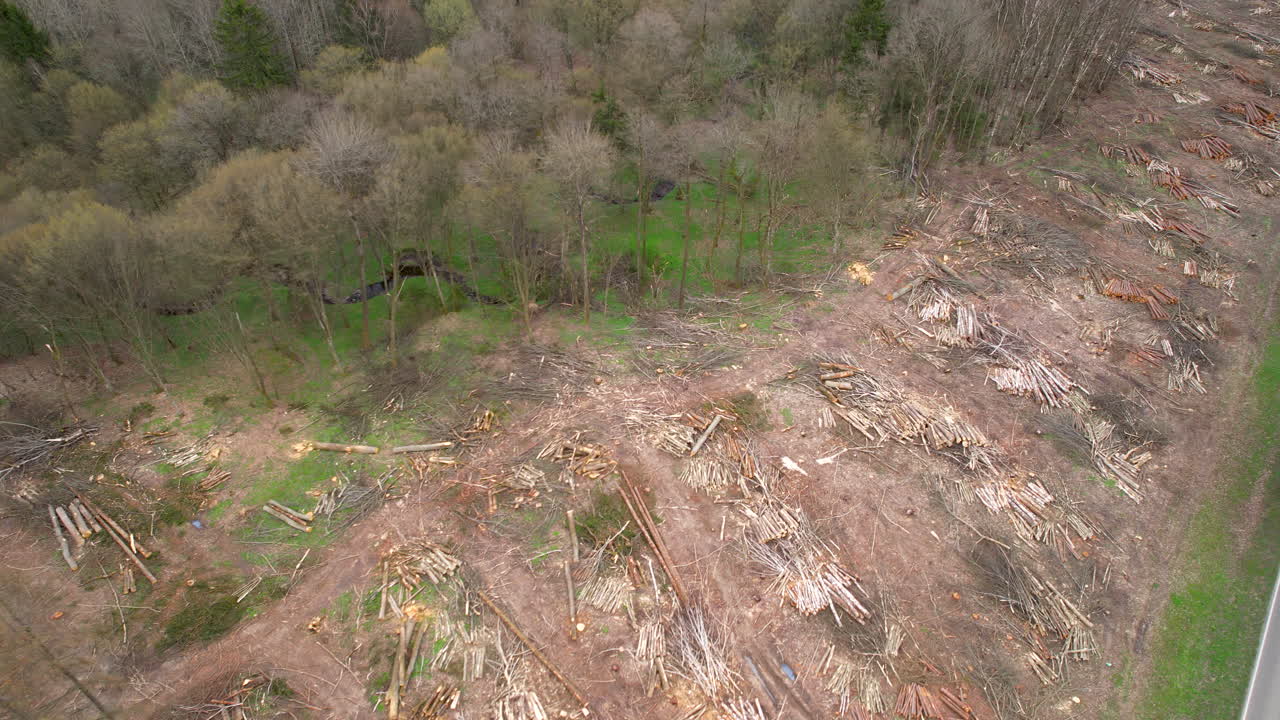 Piles Of Sawn-Off Tree Trunks In The Forest - aerial drone shot
