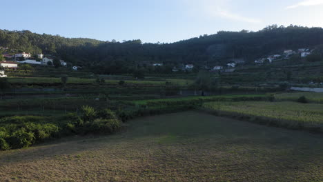 Aerial-Fly-Through-The-Arch-of-Old-arch-railway-bridge-surrounded-by-crop-fields---Ponte-Seca,-Durrães,-Barcelos