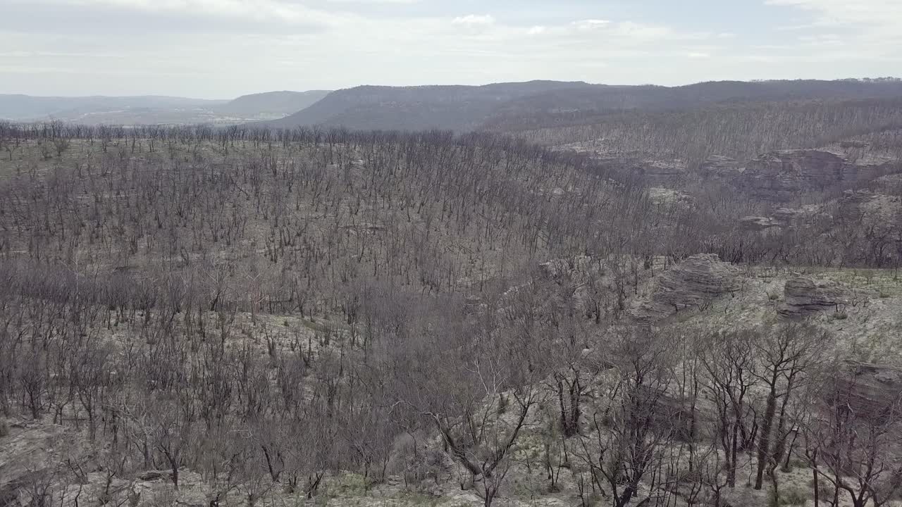 The Bushfires 2019-20 destroyed a lot of Australias Nature. 8 Month later some parts of the forests still look dry and unlivable.
Blue Mountains Nationalpark