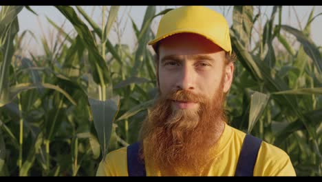 Farmer in a Cornfield