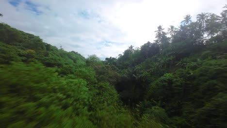 fpv, ecological forest wilderness, dense vegetation, exotic destination