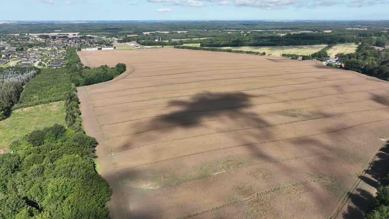 Golden EU grain fields high angle panoramic aerial view - Slow moving aerial from Djursland Denmark in 60 fps