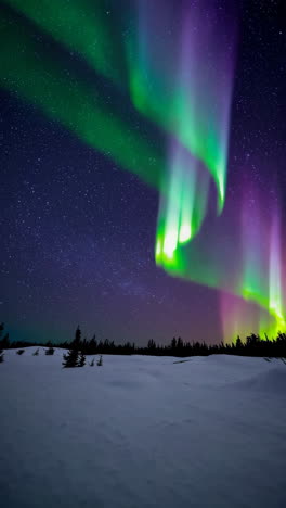 aurora boreal sobre un paisaje nevado