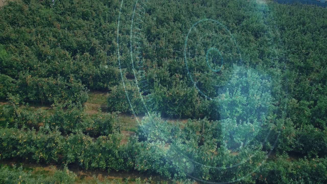 Drone scanning orchard, blue rings sweeping canopy, camera drifting, revealing houses for mapping