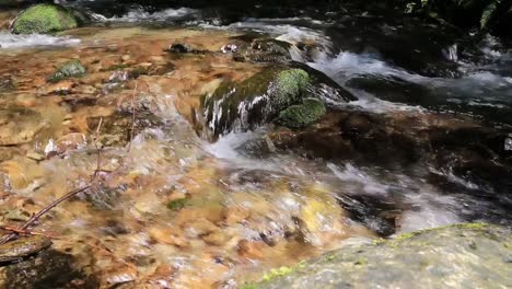 a crystal-clear stream flows gently over mossy rocks, creating a peaceful and relaxing scene in a lush forest