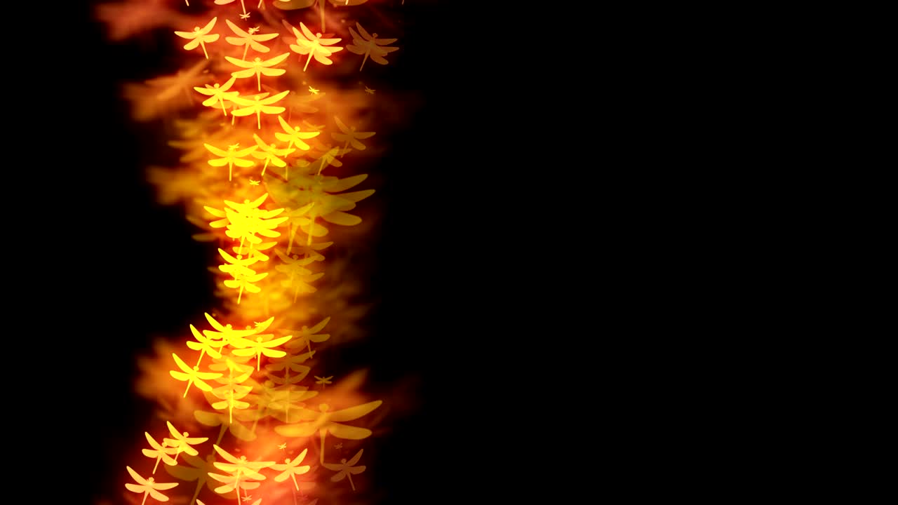 추상적인 보케 빛은 드래곤플라이 비행 패턴, 노란색과 분홍색의 그라디언트, 어두운 배경의 컬러 일러스트레이션, 원활한 루핑 애니메이션, 오른쪽 복사 공간과 함께 4k