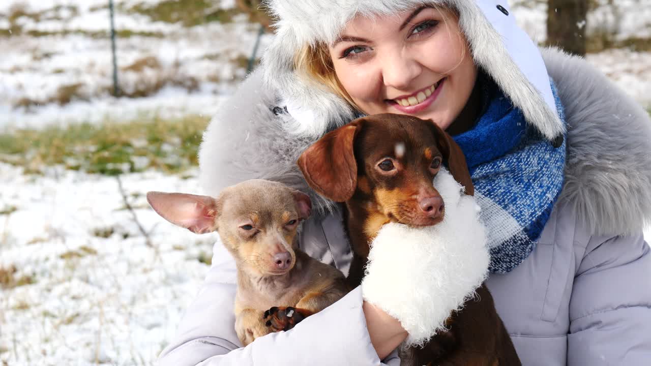 여자 는 겨울 밖 에서 작은 개 들 과 함께 놀고 있다
