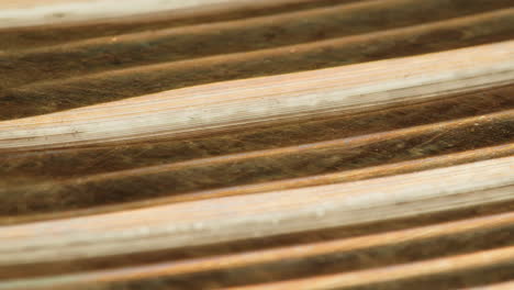 close-up view of a textured metal surface
