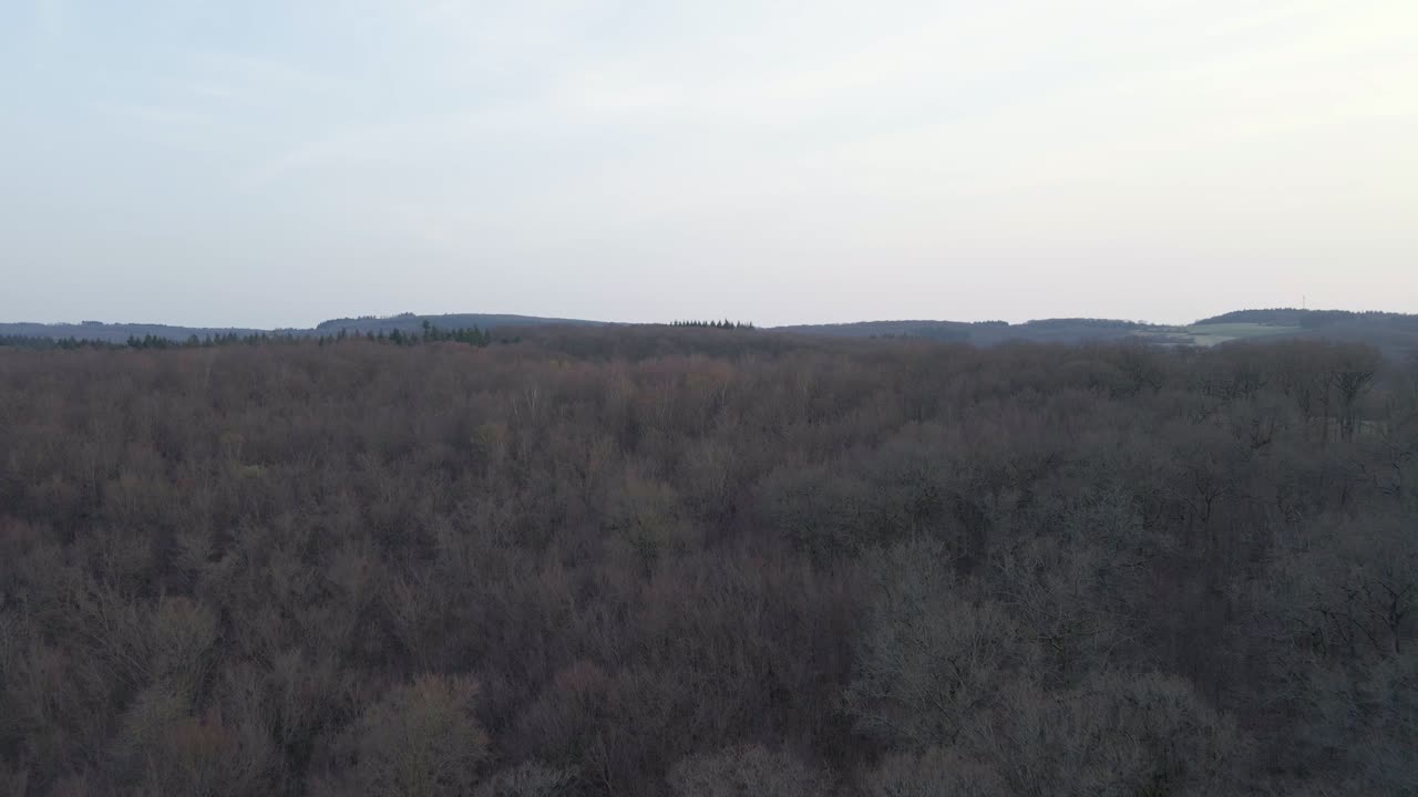 Bosque caducifolio deshojado y marrón bajo un cielo nublado al atardecer en Hesse, Alemania