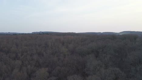 bare, brown deciduous forest underneath a cloudy sunset sky in hesse, germany