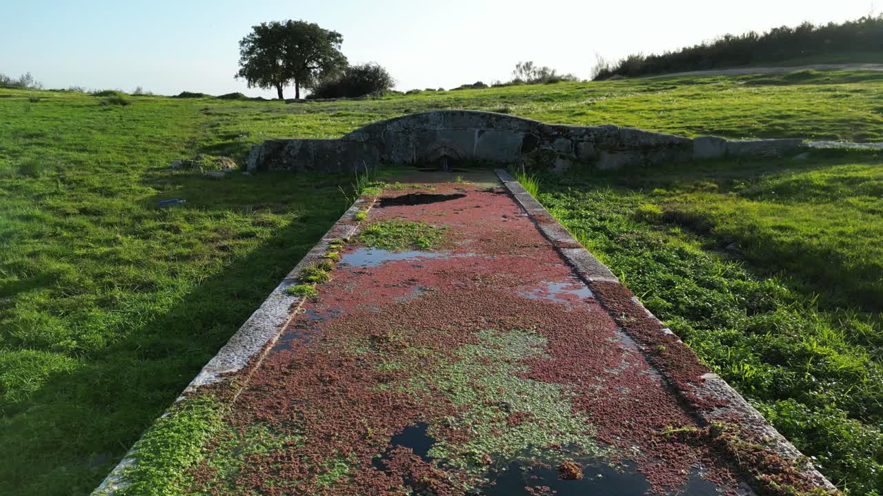 Vista em ângulo baixo de um bebedouro rural para gado com algas e reflexo da água, situado em uma paisagem rural verdejante sob luz natural suave.