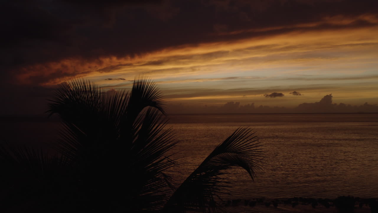 revelación cinematográfica de una romántica puesta de sol tropical desde detrás de siluetas de palmeras en la playa de ostiones en puerto rico