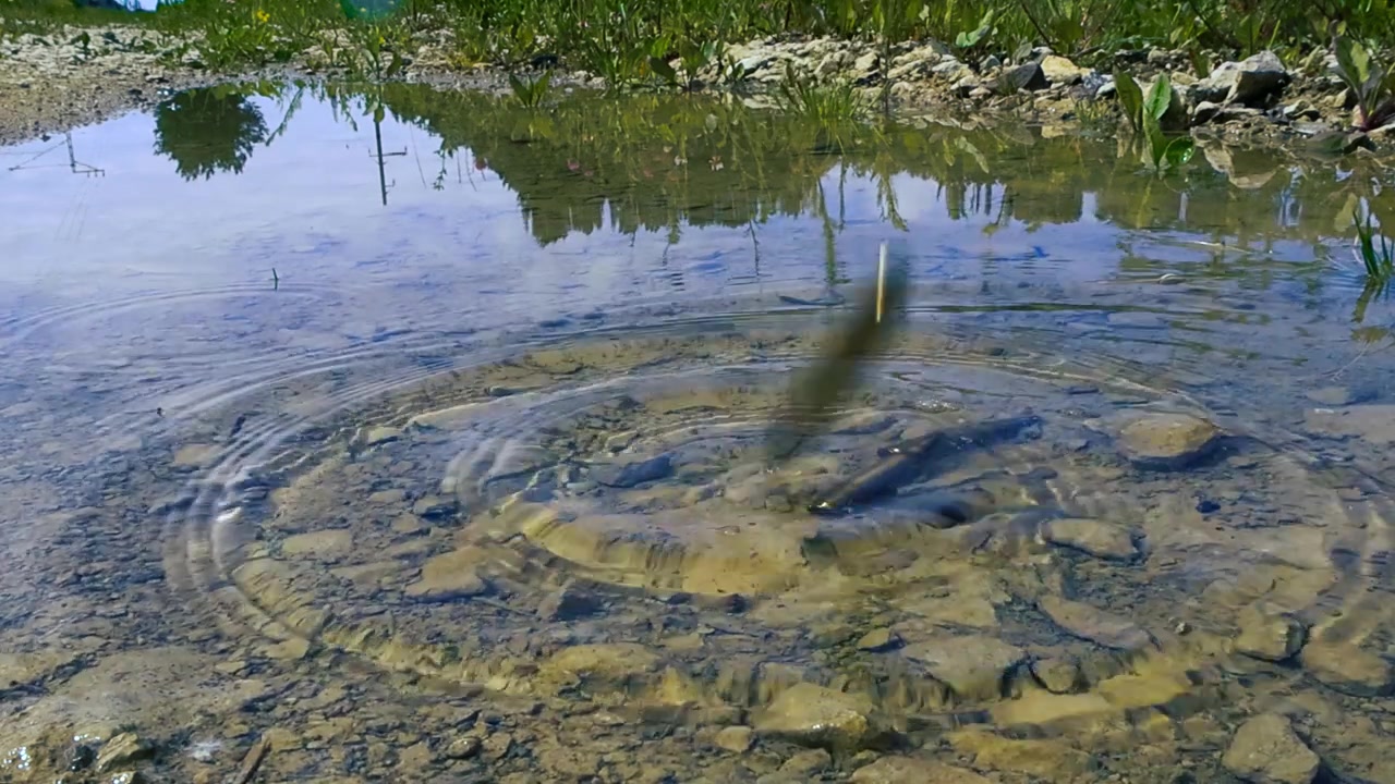Diversi bossoli di proiettili di grosso calibro che cadono uno ad uno in una pozzanghera d'acqua poco profonda, creando schizzi e increspature mentre si depositano sul fondo roccioso in una giornata di sole nella natura.