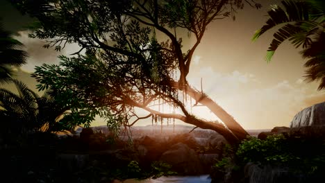 los rayos del atardecer a través de las palmeras