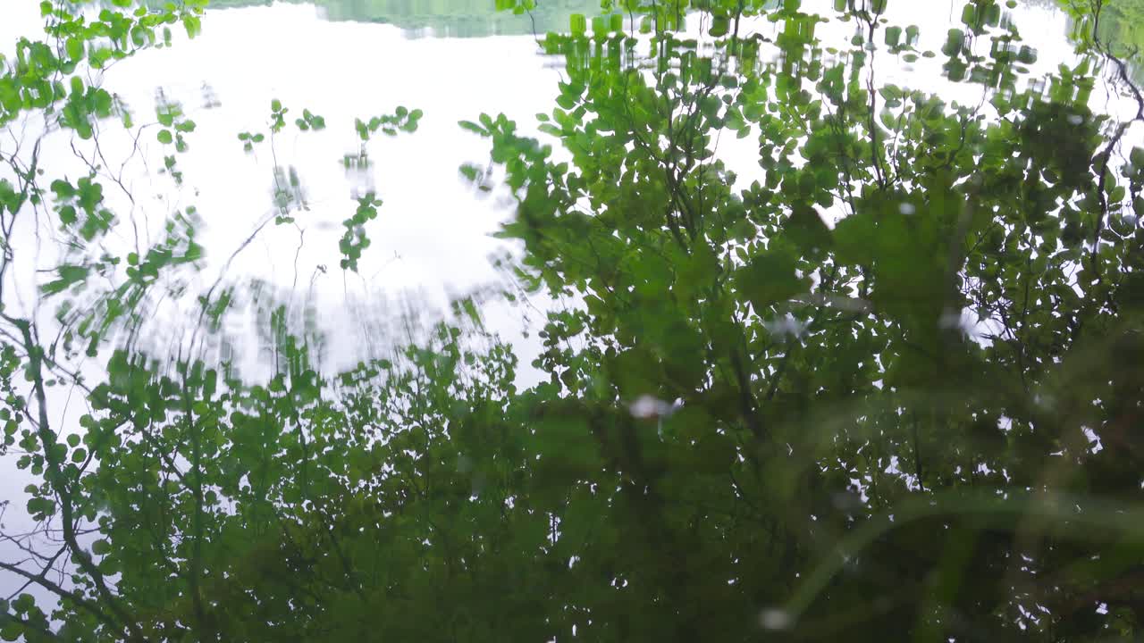 물을 만지는 것.