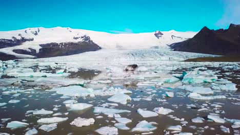 Antena-Lenta-A-Través-De-La-Enorme-Laguna-Glaciar-Llena-De-Icebergs-En-Fjallsarlon-Islandia-Sugiere-Calentamiento-Global-Y-Cambio-Climático-12