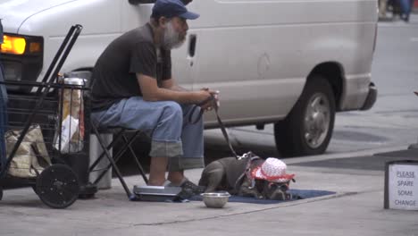 homeless man with dog panhandling on city street
