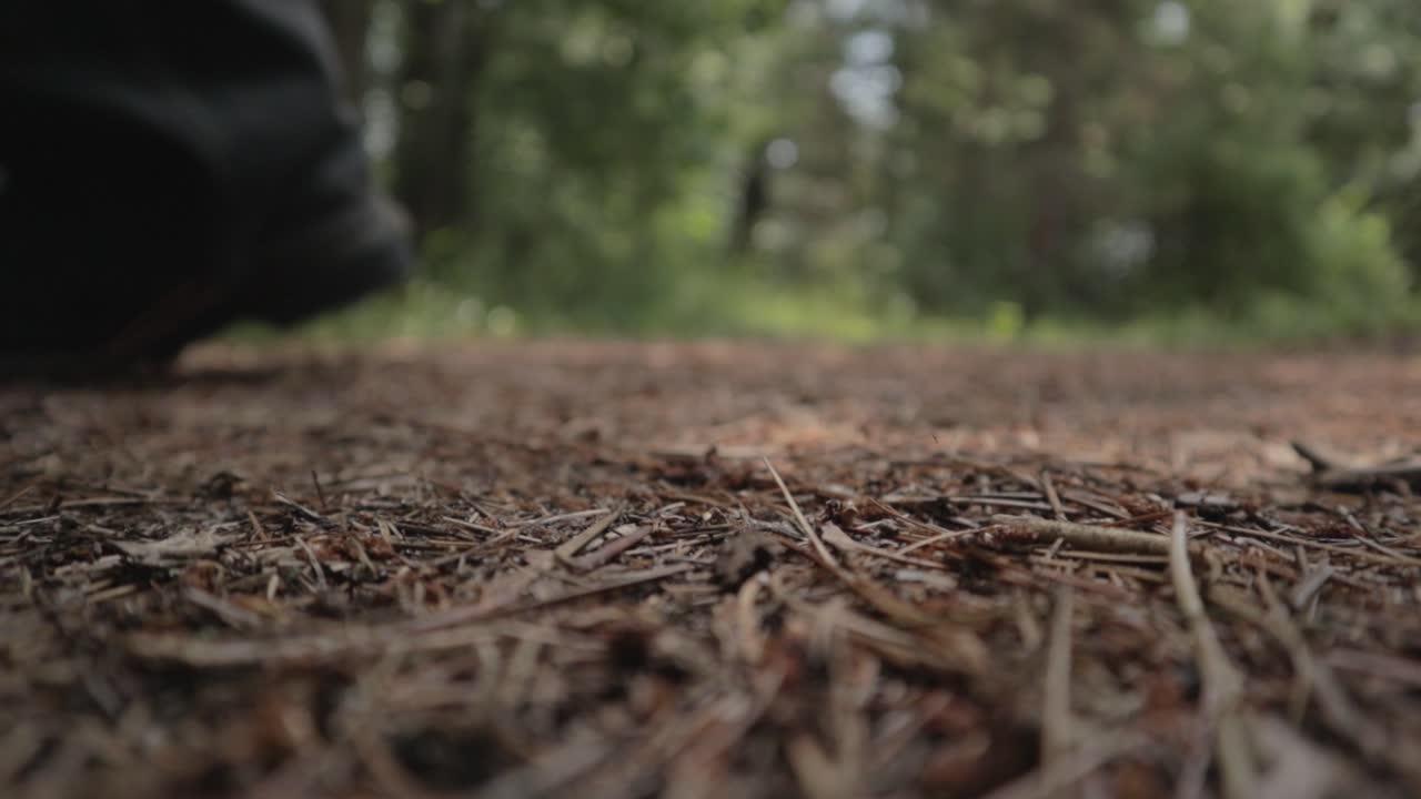 A person walks through a twig and stick filled path on a hike through the woods