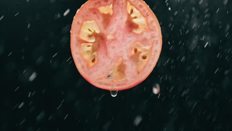 rebanada de tomate salpicada por niebla de gotas de agua con goteo líquido en cámara lenta con fondo negro retroiluminado