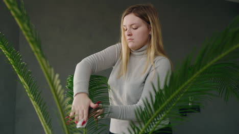 woman cleaning a palm plant