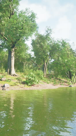 serene lakeside forest landscape