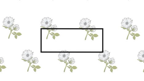 animación de marco negro con espacio de copia sobre flores sobre fondo blanco