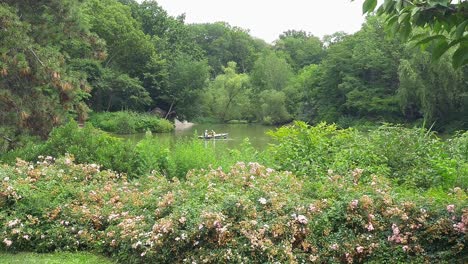 Bootsfahrer-Am-See-Im-Central-Park-Mit-Blumen