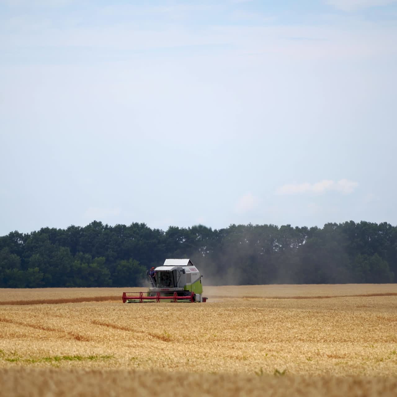 밀 에서 일 하는 수확기