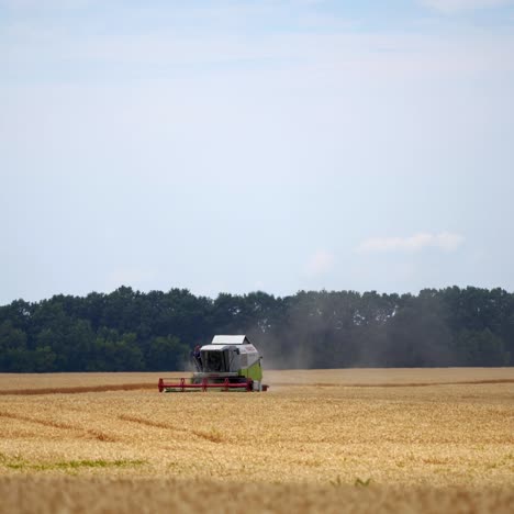 combine harvester working on wheat field