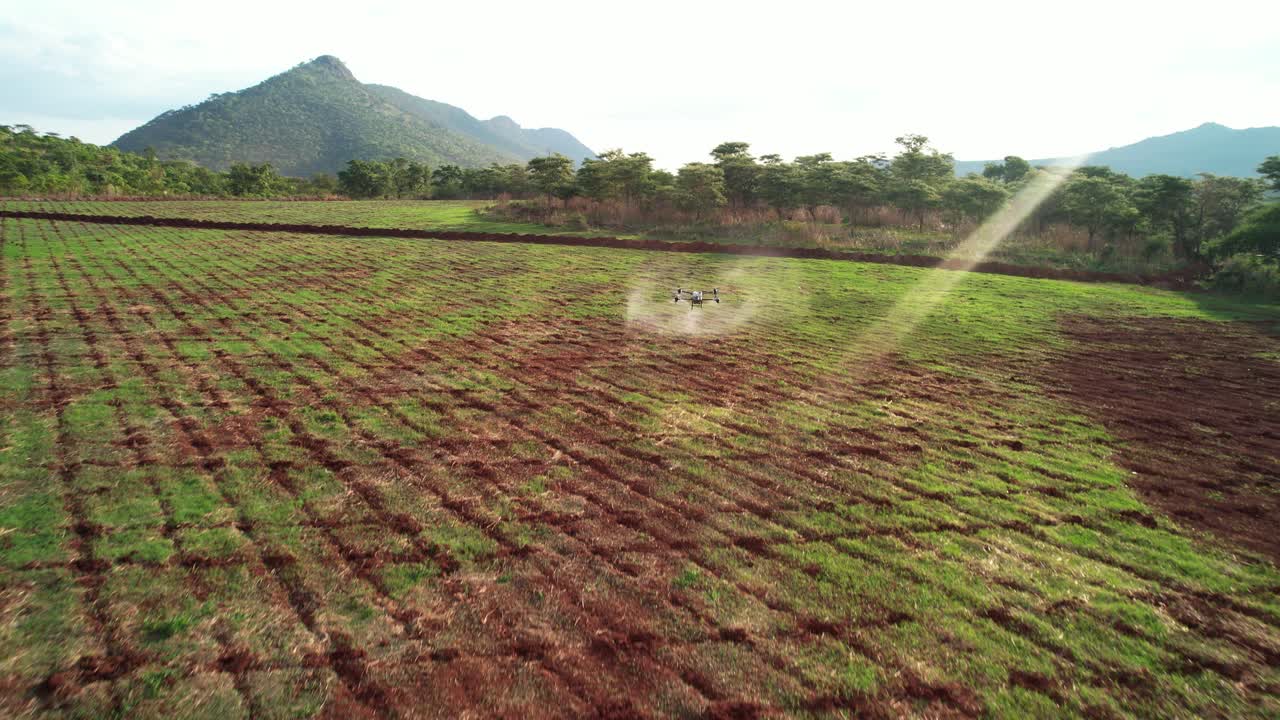 Agricultural drone spraying chemical in a big field