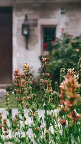 flowers by a stone building