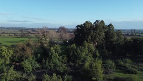 over flight to a field full of beatifull trees