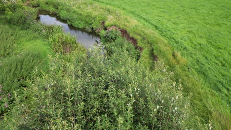 La-Exuberante-Campiña-Verde-Y-El-Sinuoso-Río-Arrow-En-Warwickshire,-Inglaterra,-Visto-Desde-El-Aire.