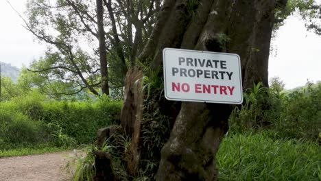 a 'private property no entry' sign is prominently displayed on a tree surrounded by dense vegetation.