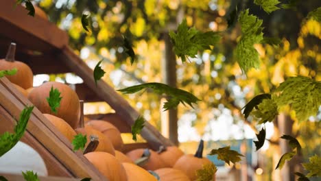 Animation-of-autumn-leaves-falling-over-pumkins-on-shelves