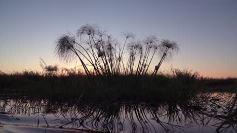 Aufnahmen,-Die-Von-Einem-Boot-Aus-Aufgenommen-Wurden,-Während-Es-Bei-Sonnenuntergang-Einen-Fluss-Hinunterfuhr