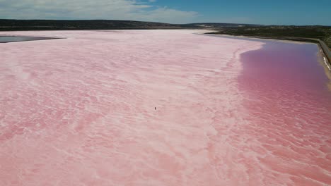 aerial video of hutt lagoon in port gregory, a person walking on hutt lagoon marine salt lake surface, western australia