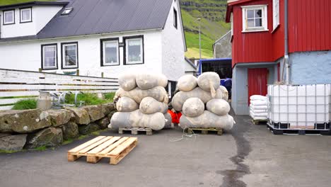 faroese man loads wool sacks for transport from trollanes to torshavn