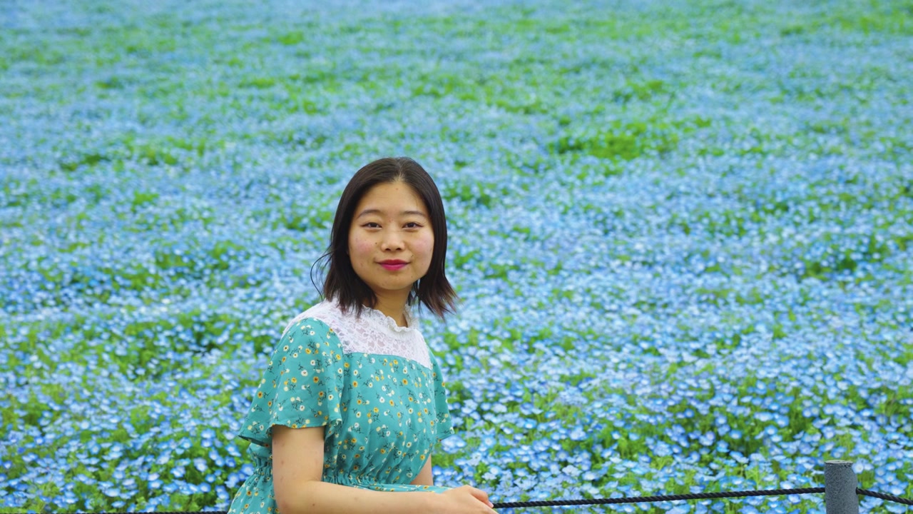ネモフィラの花、海辺の花畑と若い日本人女性。