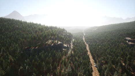 Green-pine-forest-in-the-mountains