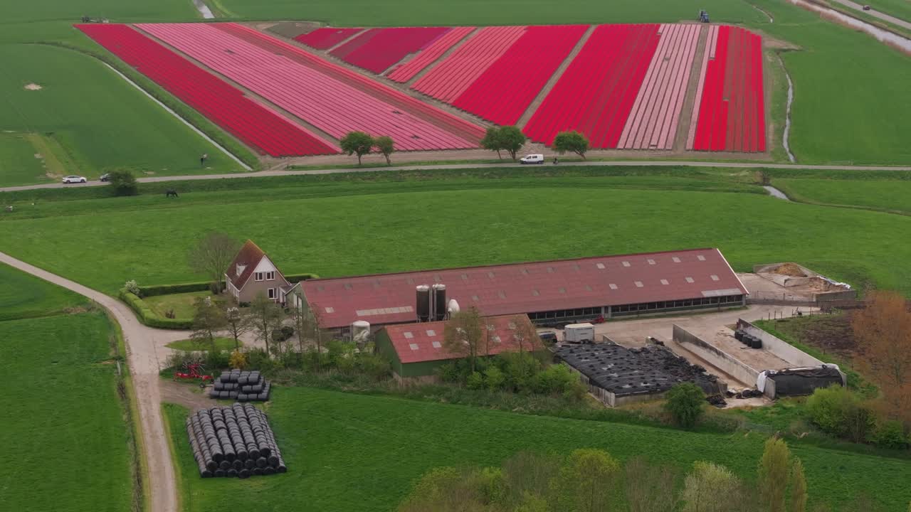 Luftfoto af tulipanmark og bondegård under skyet himmel, Holland