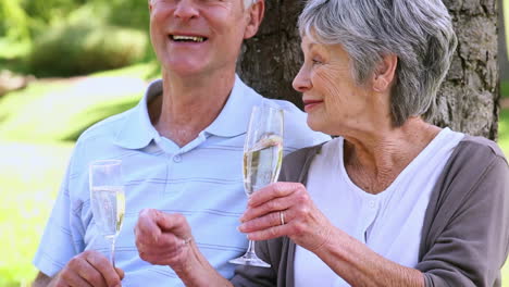 senior couple relaxing in the park together having champagne